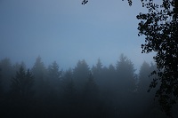 oliemeulen