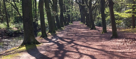 Bergen